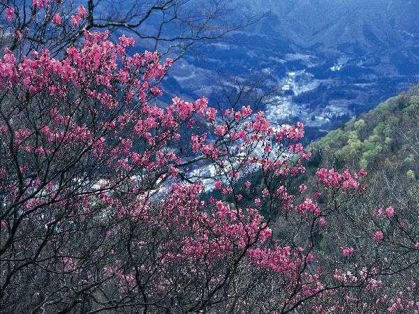 Shiobara Onsen Yama No Yado Shimofujiya Hotell Nasushiobara Eksteriør bilde